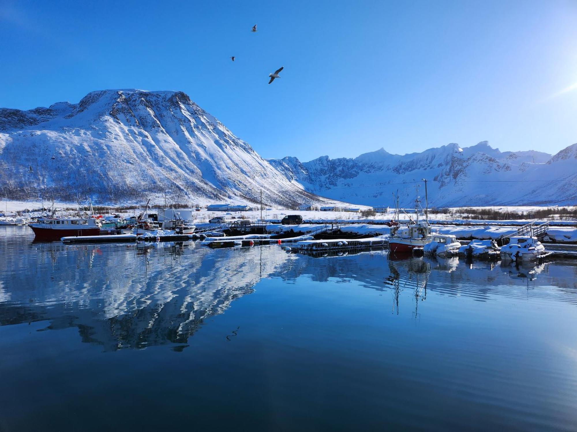Tromtind Lodge Tromso Luaran gambar